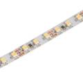 10w white LED lights - 12 volt LED strip lights