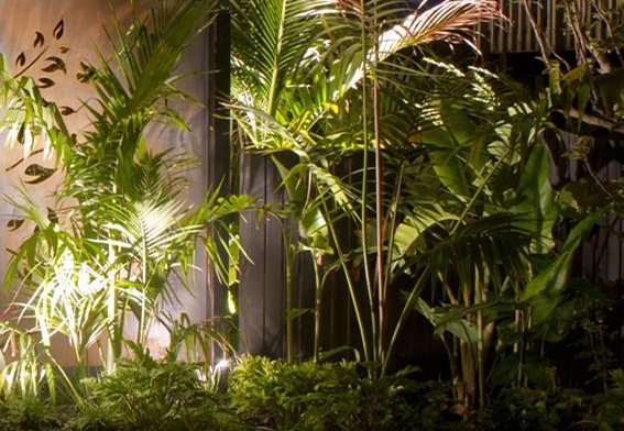  LEDs can give your planted borders more depth and texture